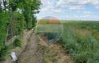 Teren 14,000mp Ghercesti ,Deschidere 40 ml - 1