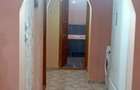 3 camere - Teiul Doamnei - Otesani - 3