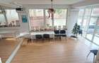 Vila individuala 7 camere | ideala birouri - 1