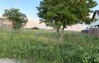 Teren intravilan 1.500 mp de vanzare Strada Castanului, Tunari - 5