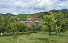Casă cu teren generos de 2.800 mp la 38 km în satul Elciu - 12