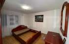 Casa cu 4 camere, 117 mp, teren generos de 5594 mp, in Crisc - 16