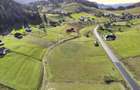 Teren intravilan Fundata, 4000 mp, potential turistic - 8