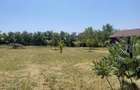 Teren de vanzare Budacu de Jos 3 parcele, utilitati la limita, zona Raal - 4