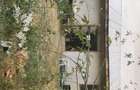 Vand casa sat Constantinesti judet Braila - 1