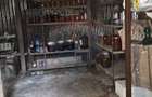 Domeniu rural, gospodarie/multifunctionala cu casa, livada, vie - 18