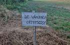 Teren de vanzare in Balotesti in apropierea padurii - 1