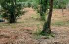 Proprietar, vand teren in suprafa?a de 1502 mp, situat in Cralova? - 3