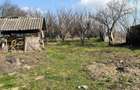 Casă cu 4 camere în Tinca - 5
