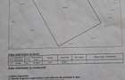 Vand livada 2ha nucifere pe rod - 3