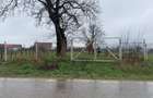 Vand teren intravilan Comana de Jos jud Brasov - 6