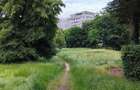 Apartament 2 camere, decomandat, Rahovei, Rahova - 3