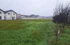 Vand teren 5000mp intravilan, Preajba, jud Dolj - 7