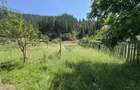 De vanzare | Teren intravilan 1342 mp in Sabasa | Borca | Neamt - 5