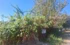 Teren Intravilan, 580 mp, zona Central - Viisoara