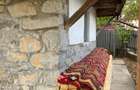 Casa traditionala de vanzare - 1