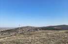 Terenuri Tome?ti Dealul Crucii | panorama | intravilan - 3