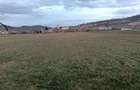 Vand teren intravilan - 2