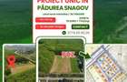 EXCLUSIVITATE-PROIECT UNIC IN PADUREA SNAGOV! Loturi teren 600mp - 5