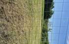 Vand teren intravilan - 4
