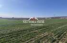 NECTORA IMOB-Teren Intravilan 537 mp, Zona Solay, 250 m de asfalt - 1