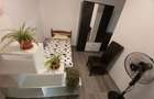 De vanzare 349900 euro casa cu 2 apart. in centru istoric Timisoara - 1