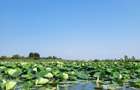 1300 MP LA LACUL SNAGOV IN VLADICEASCA - 1