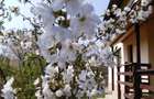 Vila cocheta Valter Maracineanu 87.000 euro - 17