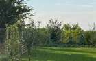 Casa premium langa Codrii Vlasiei ?i Lacul Caldaru?ani aer curat, lini?te, 1.000 mp teren - 4