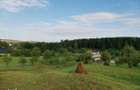 Vand teren intravilan 7410 mp in Sasca Mare, Suceava - 8