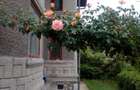Vila P+E cu teren 2559 mp, vie, garaj, izvor - Borosteni, Gorj - 5