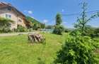 Teren intravilan de 2327 mp, în Județean - 7