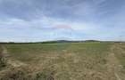 Teren agricol extravilan de 25697 mp, în Bonțida - 4