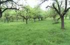 Teren extravilan de 72000 mp, în Boțești - 1