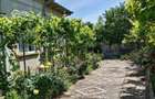 Vand Casa cu anexe si 2400 m/p Boureni, Dolj - 6