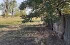 Teren intravilan_5,5 Euro mp, front stradal: 95,19 ml - sat Gageni, com. Sahateni, Buzau - 8