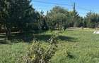 Casă cu 4 camere cu Teren 500 Mp în Central - 3