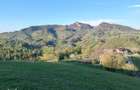 Teren intravilan panoramic in Pe?tera, Moieciu - 11048 mp - 1