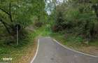 Teren 12.690 mp | 3.900 mp intravilan | Ocnele Mari- Slatioarele - 4