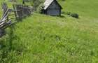 Teren 7 Hectare Brodina Suceava Par?ial Intravilan, Casa + Anexe, Zona de Munte | Ocazie - 1