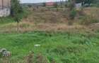 Teren Tomesti intravilan 1000mp,gaz,apa,canal,asfalt,business - 5