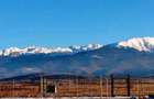 Teren Valea Avrigului (Avrig, Sibiu) - 3