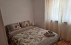 Apartament cu 2 camere decomandat în Șagului - 1