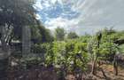 Casă cu 1 camere cu Teren 5007 Mp în Botoșani - 4
