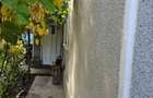 Teren Si Casa de Vanzare In Topraisar 800 mp deschidere 26 m - 7