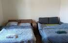 Inchiriez pentru festivalul Wibe perioada 1-6 iulie apartamente si case in Sangeorgiu de Mures si Tg. Mures - 3