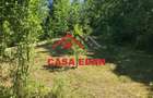 Casă în Poiana - 1