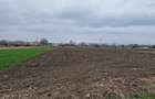 Teren Construcții intravilan de 5002 mp, în Central - 1