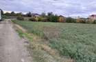 COSERENI( il ) - TEREN 2K MP DE VANZARE (52 M DESCHIDERE ... - 9