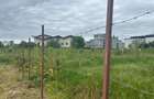 Teren Sisesti Sector 1 - 4